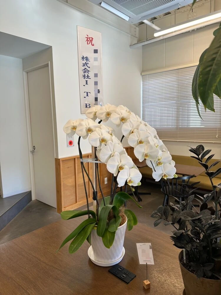 ブログ画像
